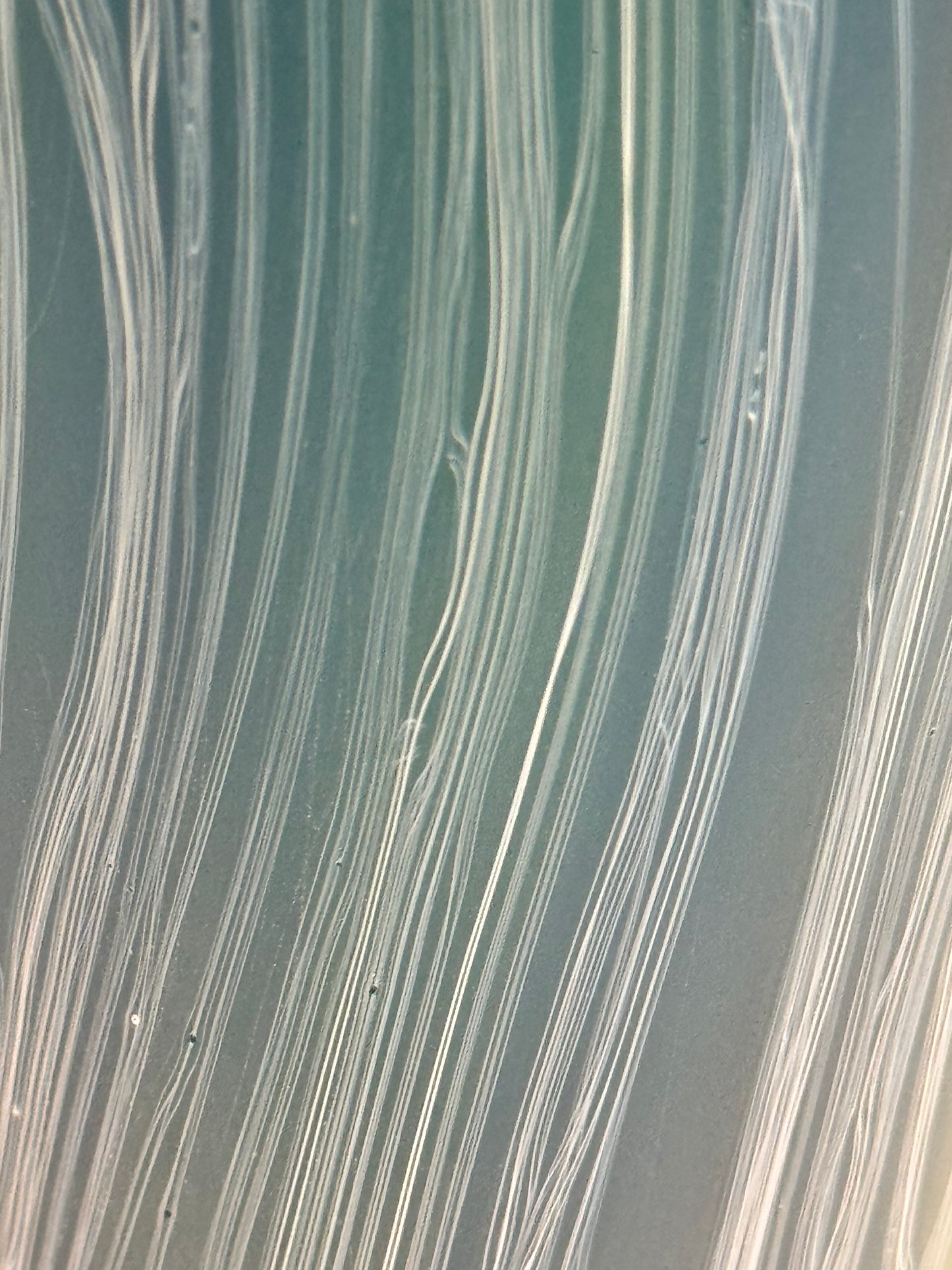 Chlorite schist III - handblown glass art